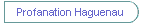 Profanation Haguenau